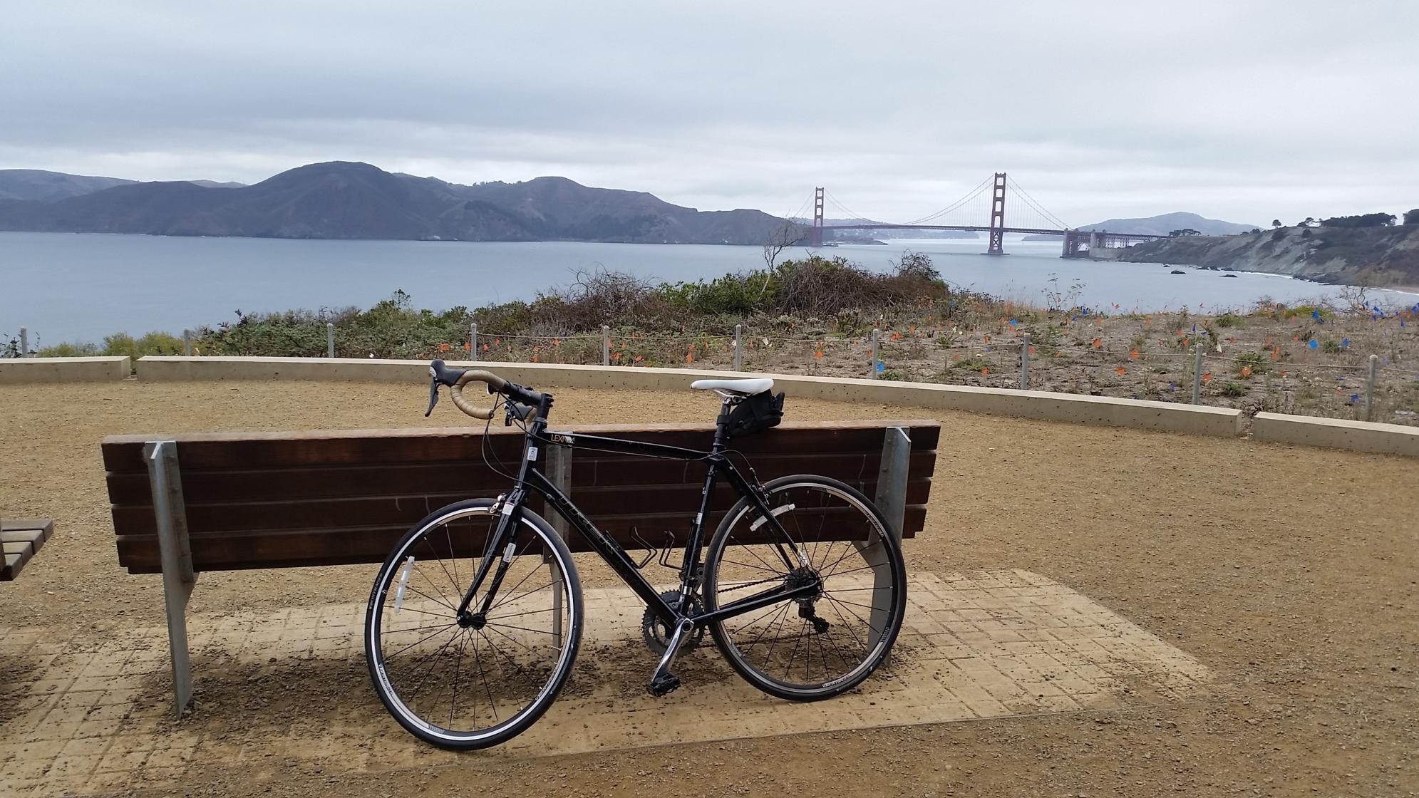 2014 Trek Lexa SLX (Compact or Triple) Black