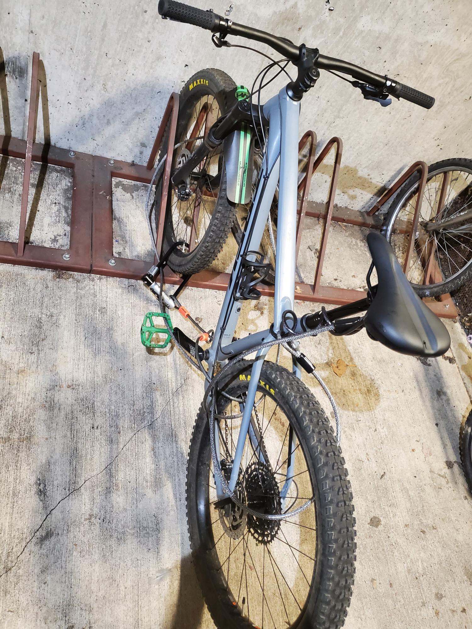 2019 Trek Roscoe 8 Silver, gray or bare metal