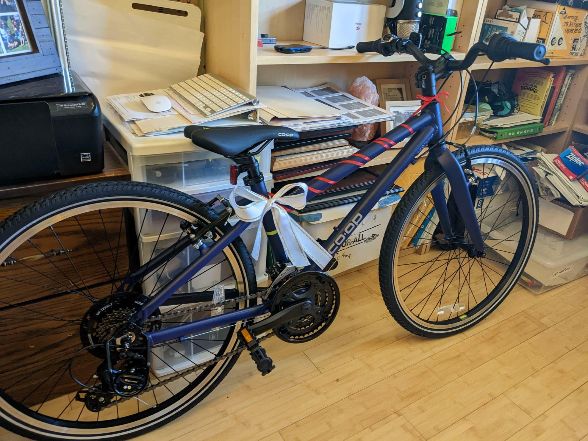 REI Co-op REV CITY Step-Through Kids' Bike Blue