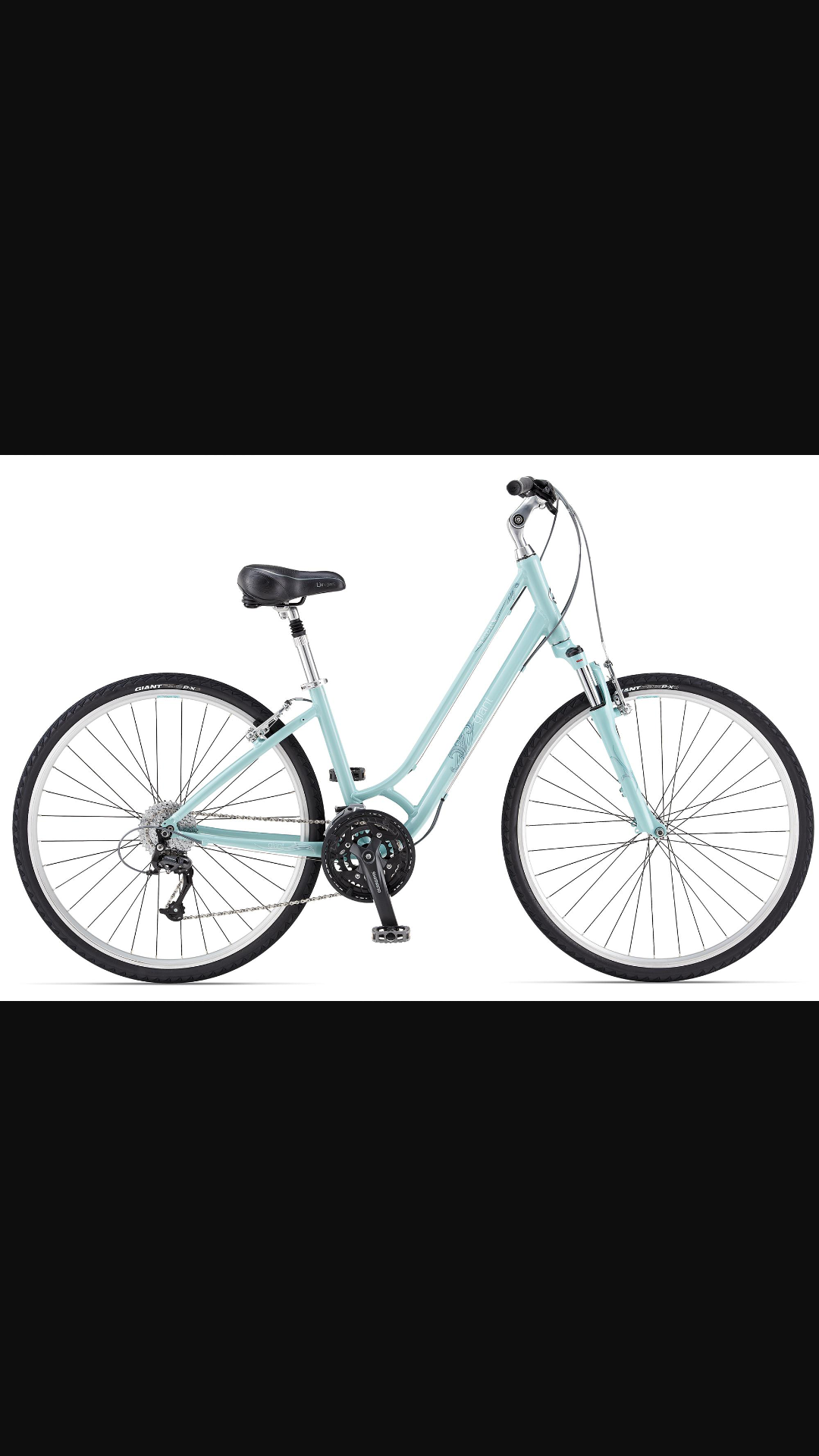 Giant Cypress LX w  Teal