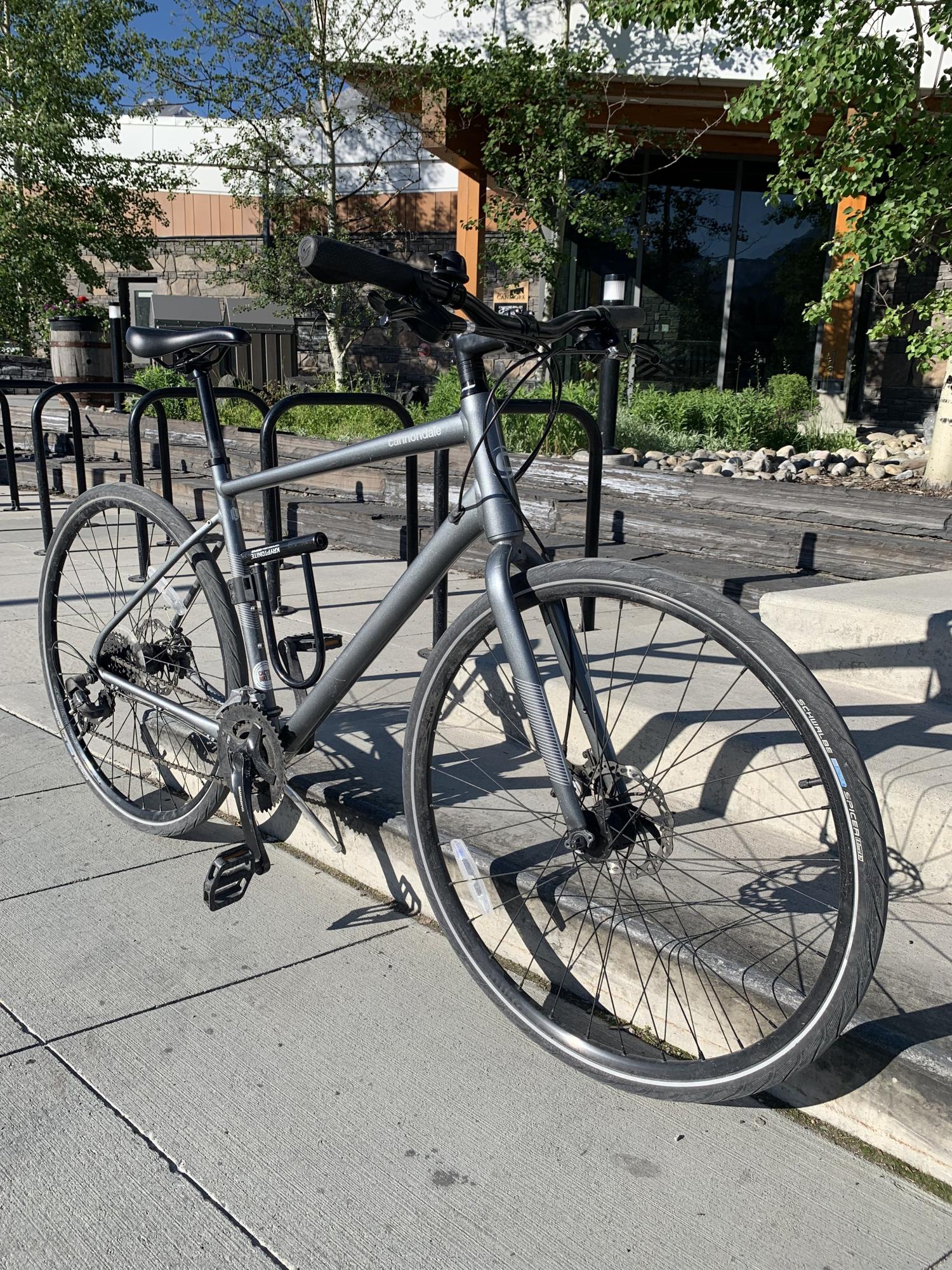 2020 Cannondale Quick 5 Silver, gray or bare metal