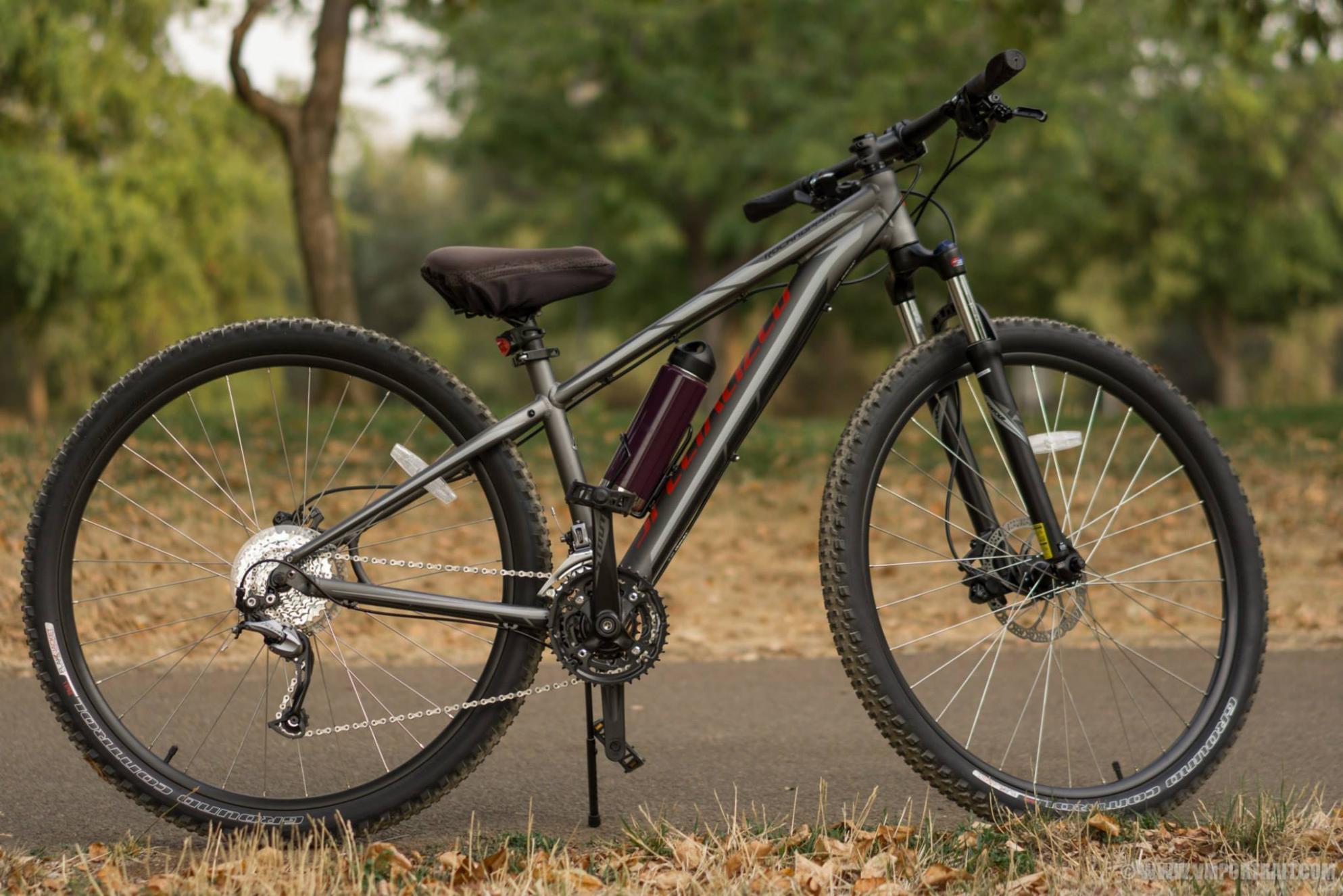 2015 Specialized Silver or Gray