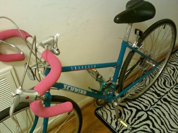 Schwinn Traveler  Black