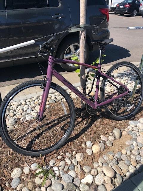 2021 Specialized sirrus 1.0 Purple