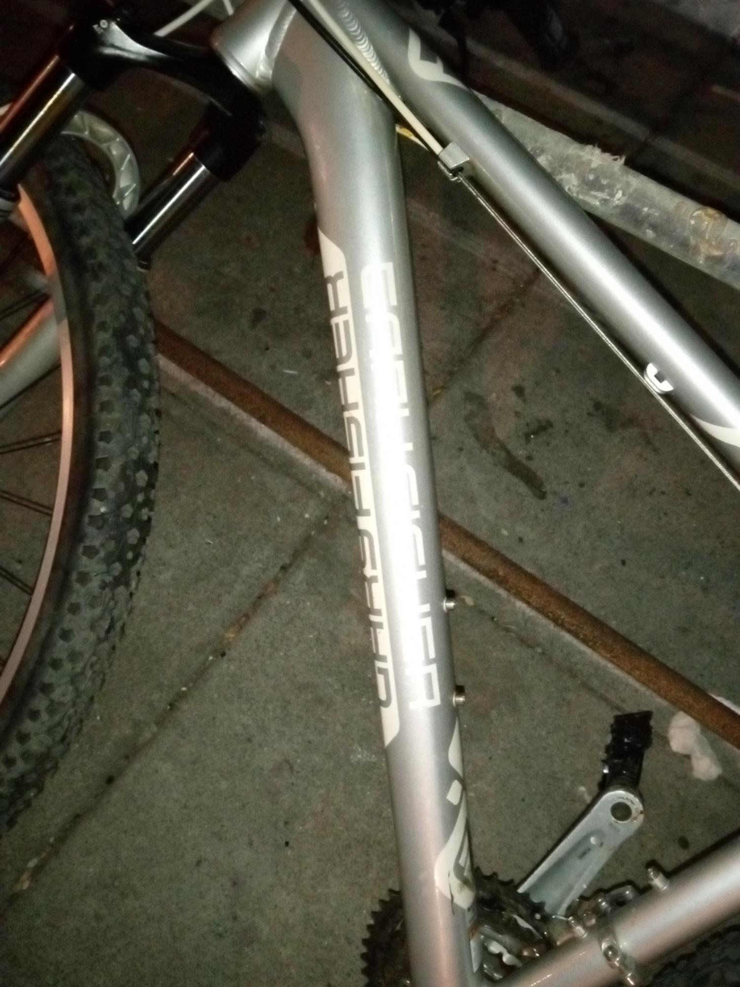 2021 Gary Fisher Codina Silver, gray or bare metal