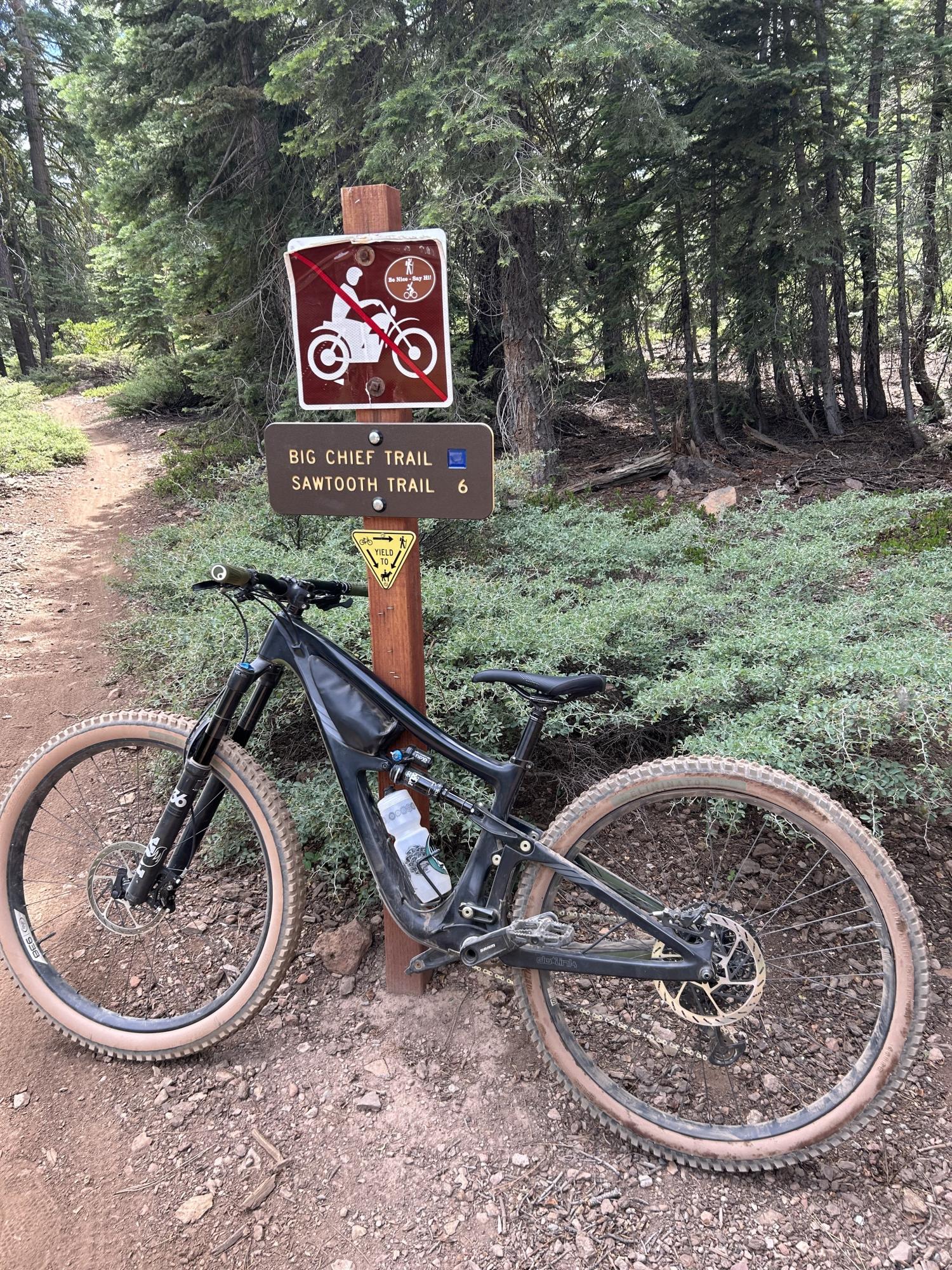 2020 Ibis Ripmo Black and Green