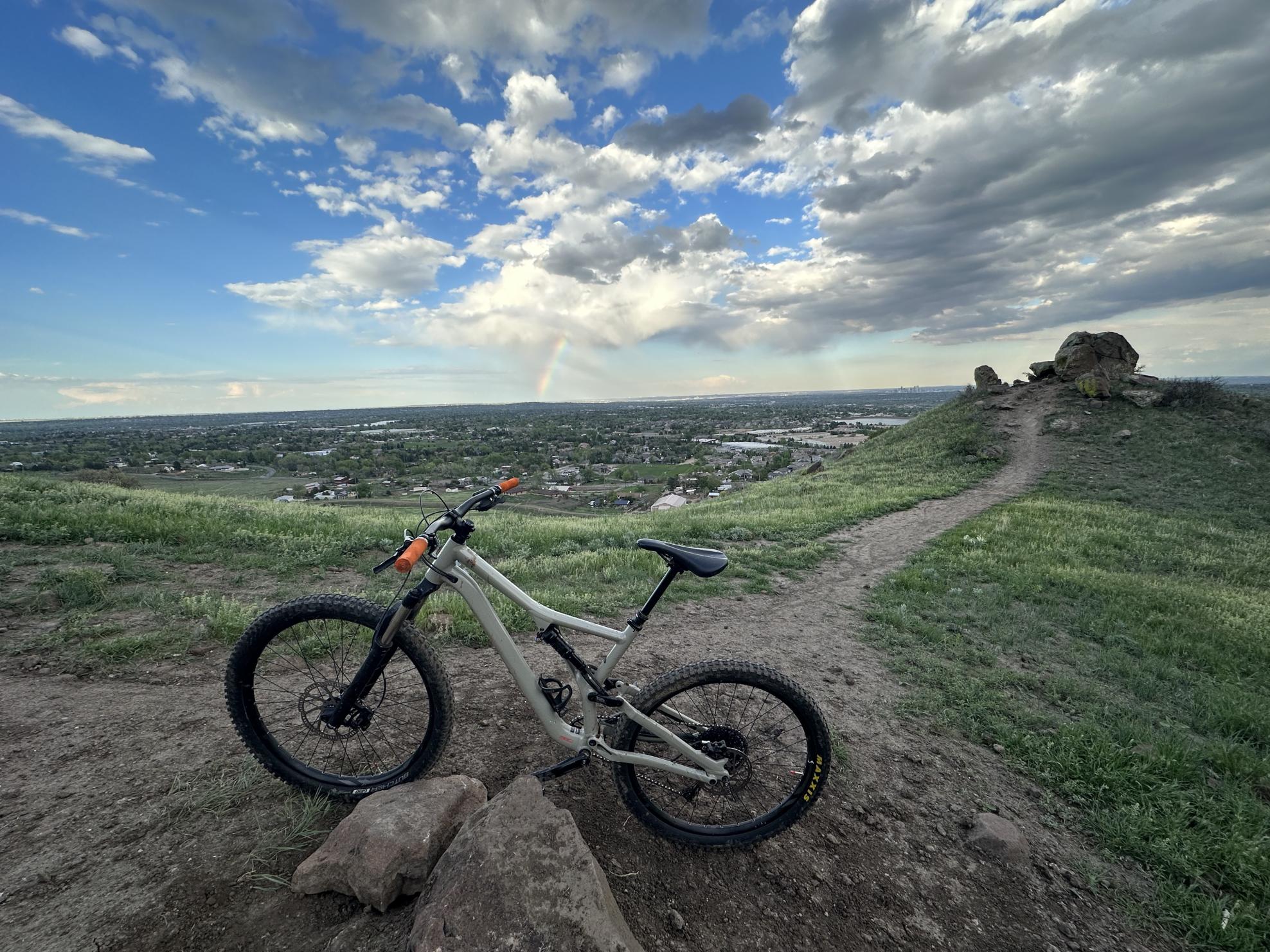 2019 Specialized Stump jumper Brown