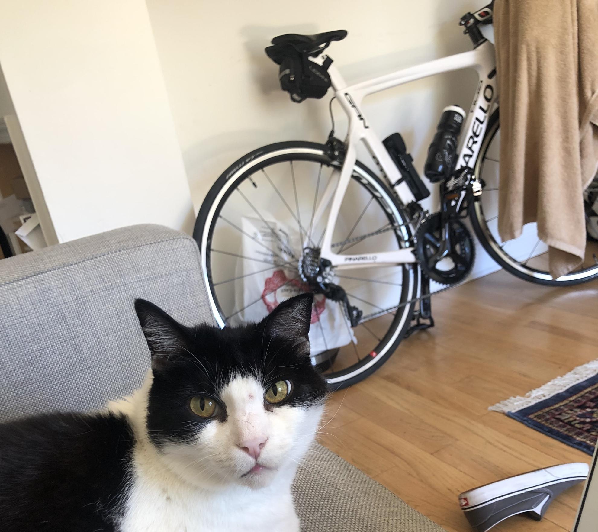 2023 Pinarello Pinarello Gan 105 RS 100 A600 White