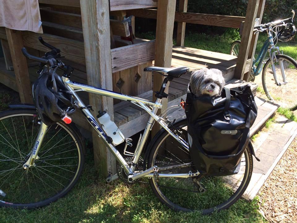 2011 GT Bicycles Transeo 4.0 Silver or Gray and Blue