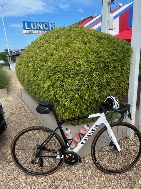 2023 Canyon bicycles Ultimate CF SL Black and White