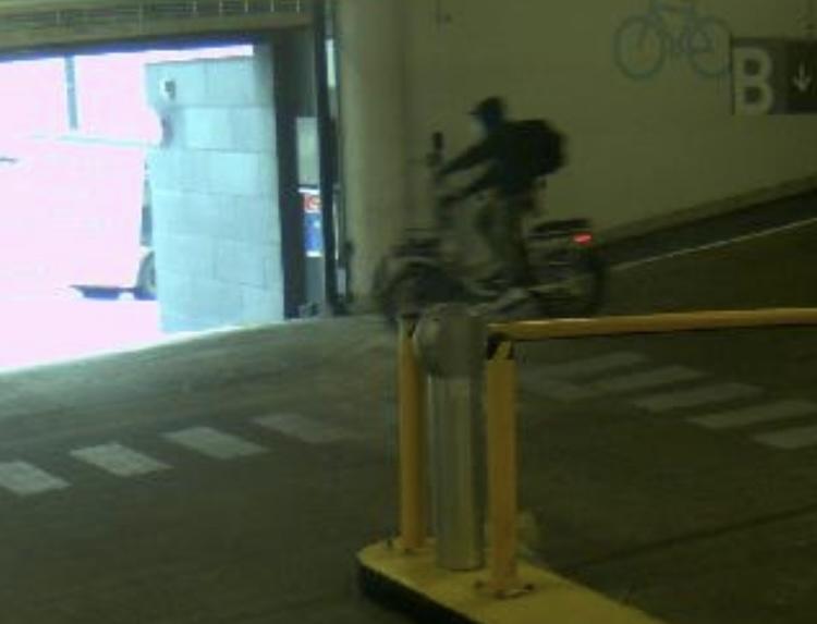 2022 Rad Power Bikes Rad Runner Plus Silver, gray or bare metal