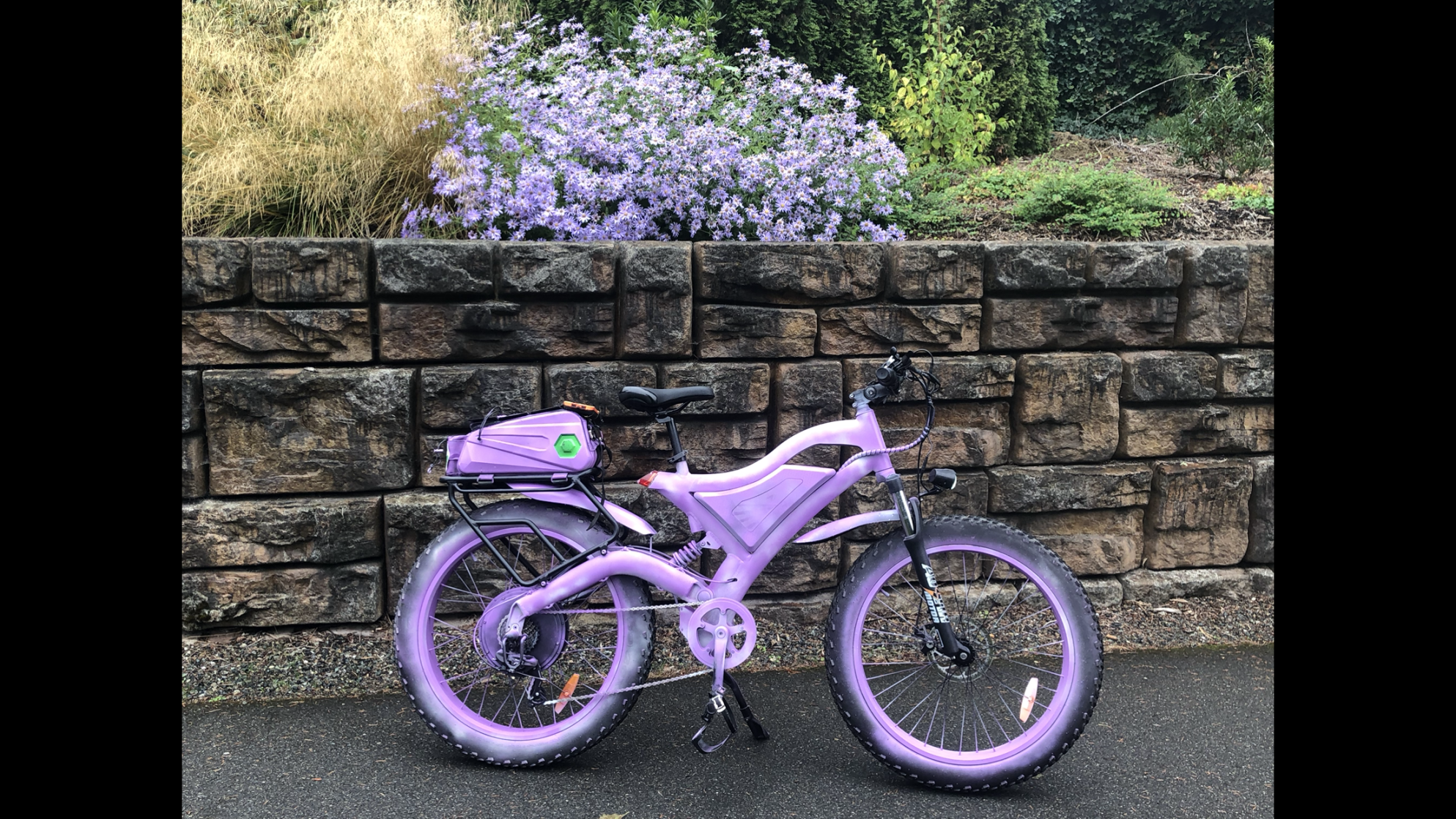 2023 Aostirmotor S-18 1500 watt Purple