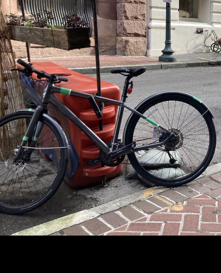 SCOTT Silver, gray or bare metal and Green