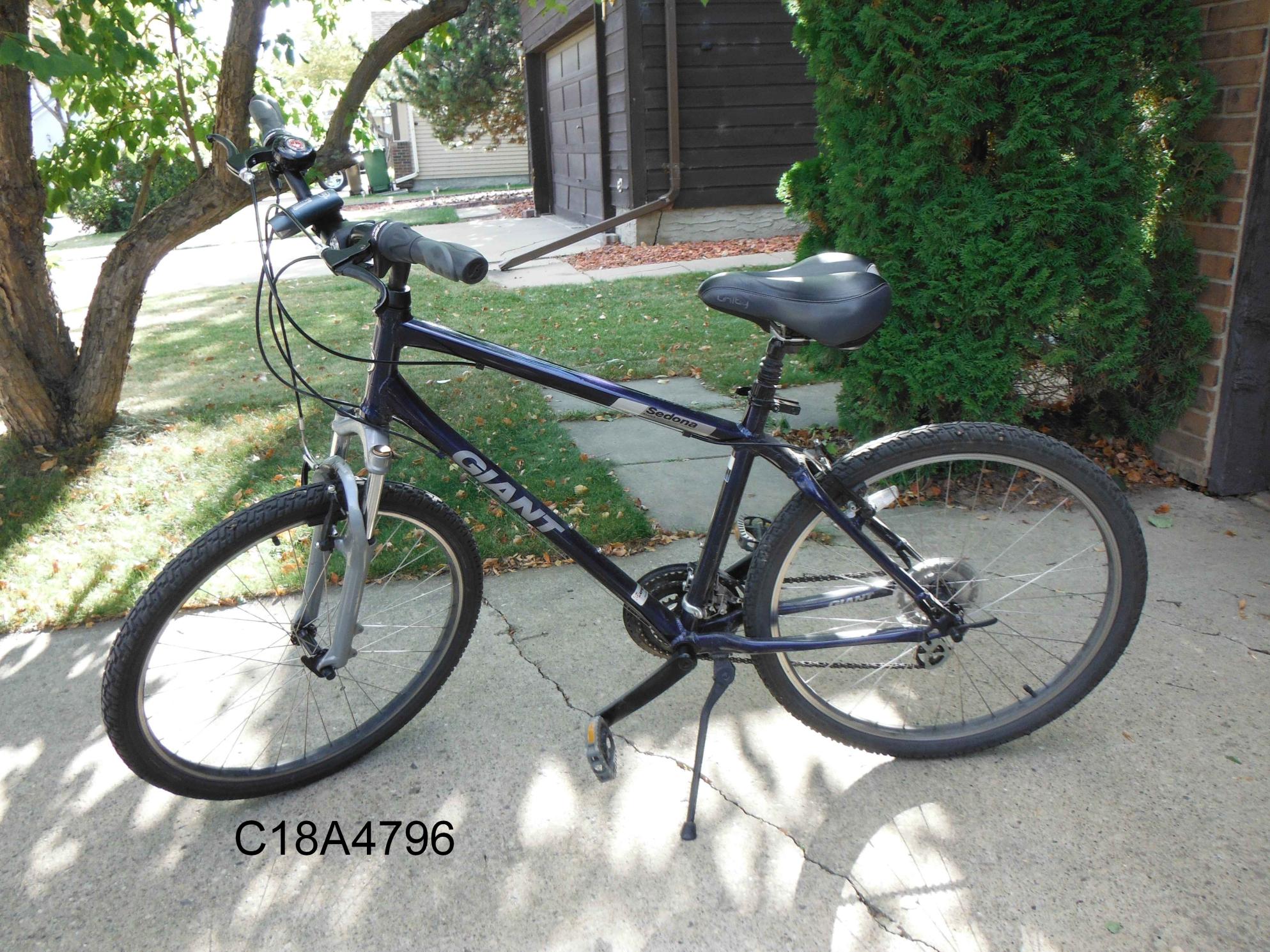 2008 Giant Sedona Blue