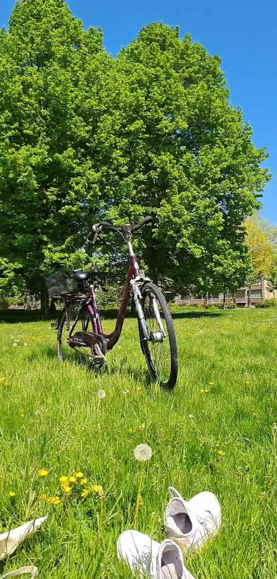 Kettler Alu-Rad City bike Purple