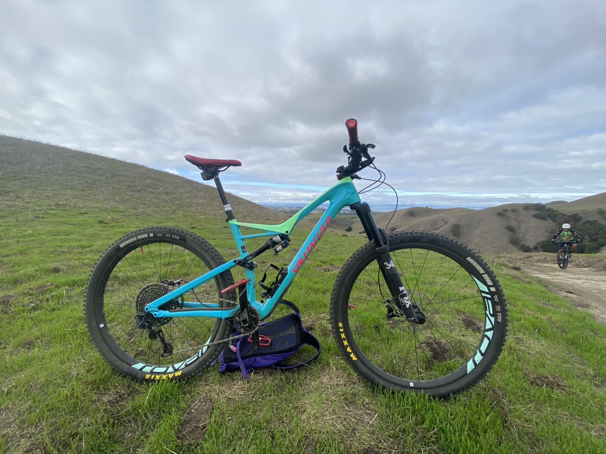 2018 Specialized Stumpjumper Expert 29/6Fattie Green and Pink