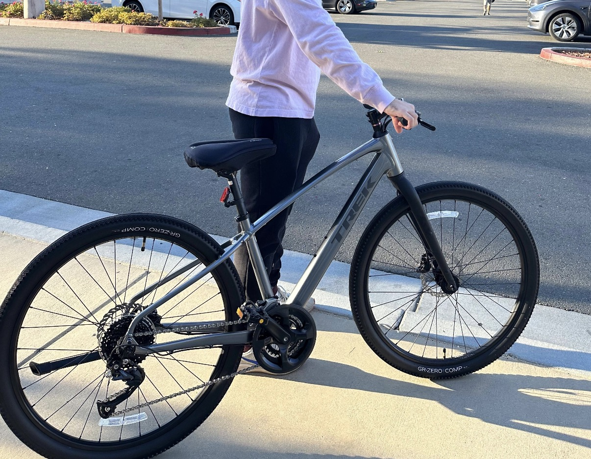 2023 Trek Silver, gray or bare metal