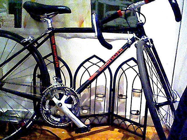 Bianchi Sport SX  Black