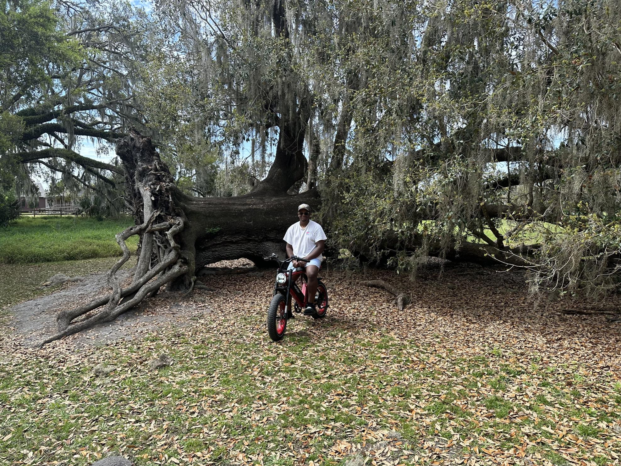 2024 Ariel Rider X-class 52v Red