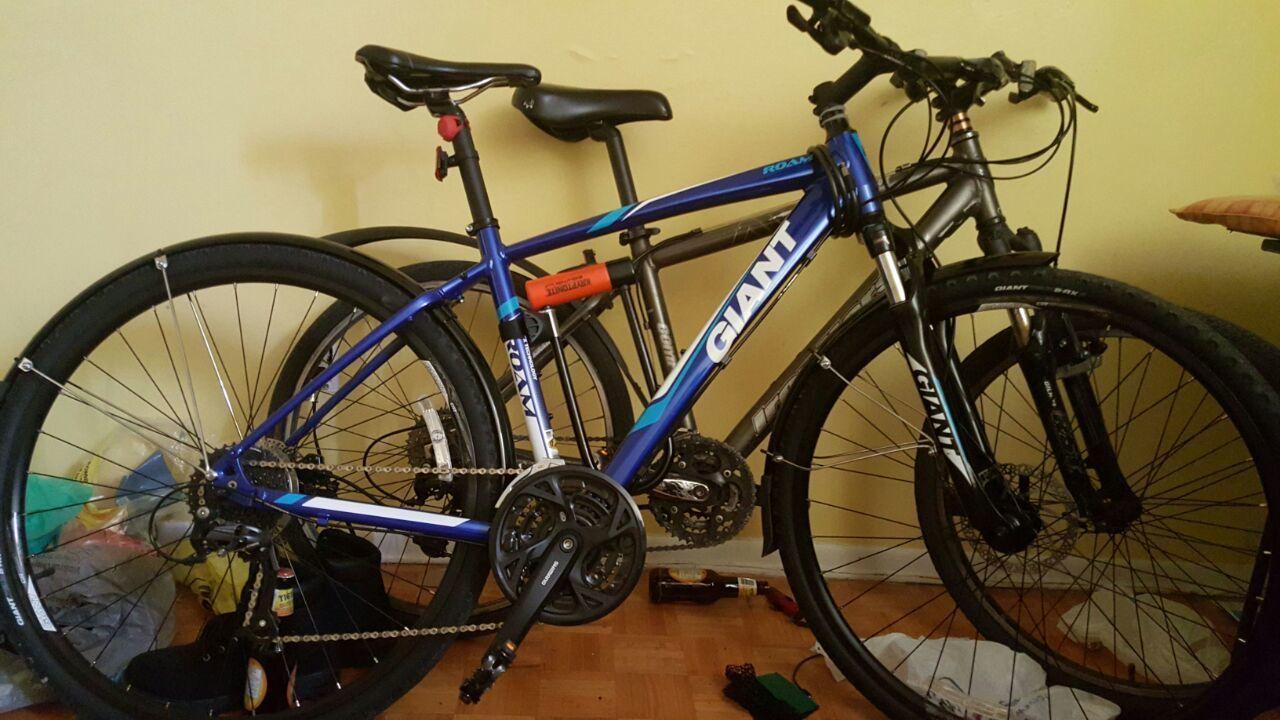 2015 Giant roam 2 Blue and Black