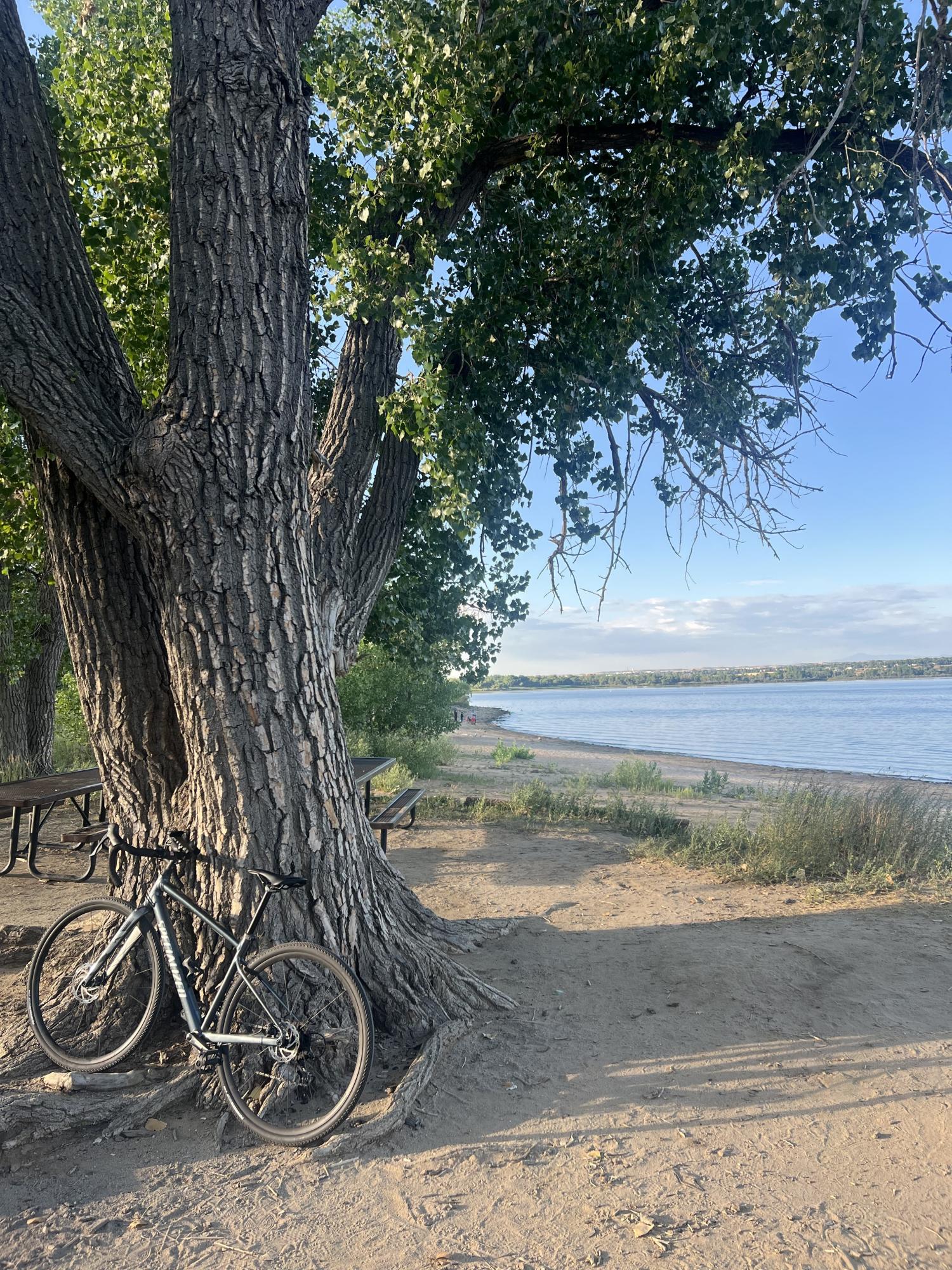 2023 Specialized diverge E5 Blue