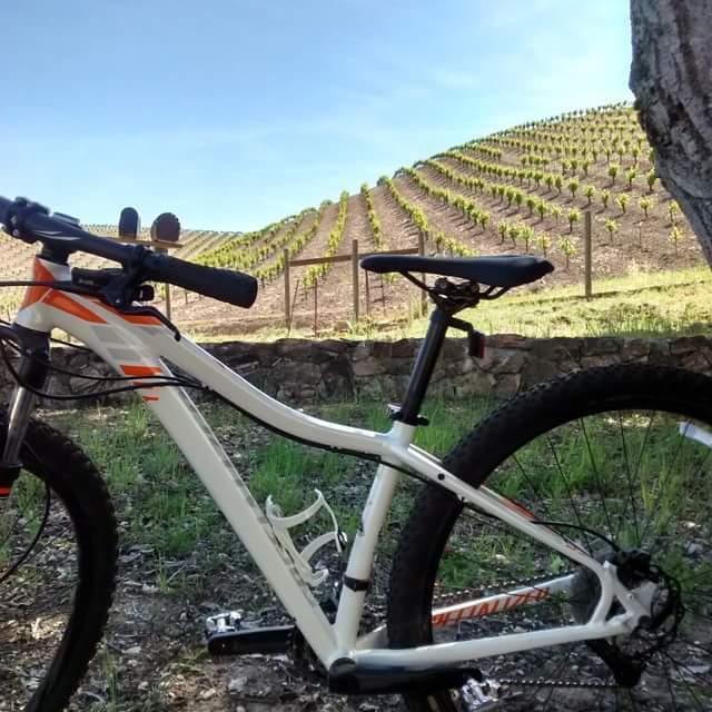 2014 Specialized Jett 29 White and Orange