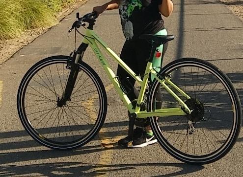 2018 Specialized Ariel Green