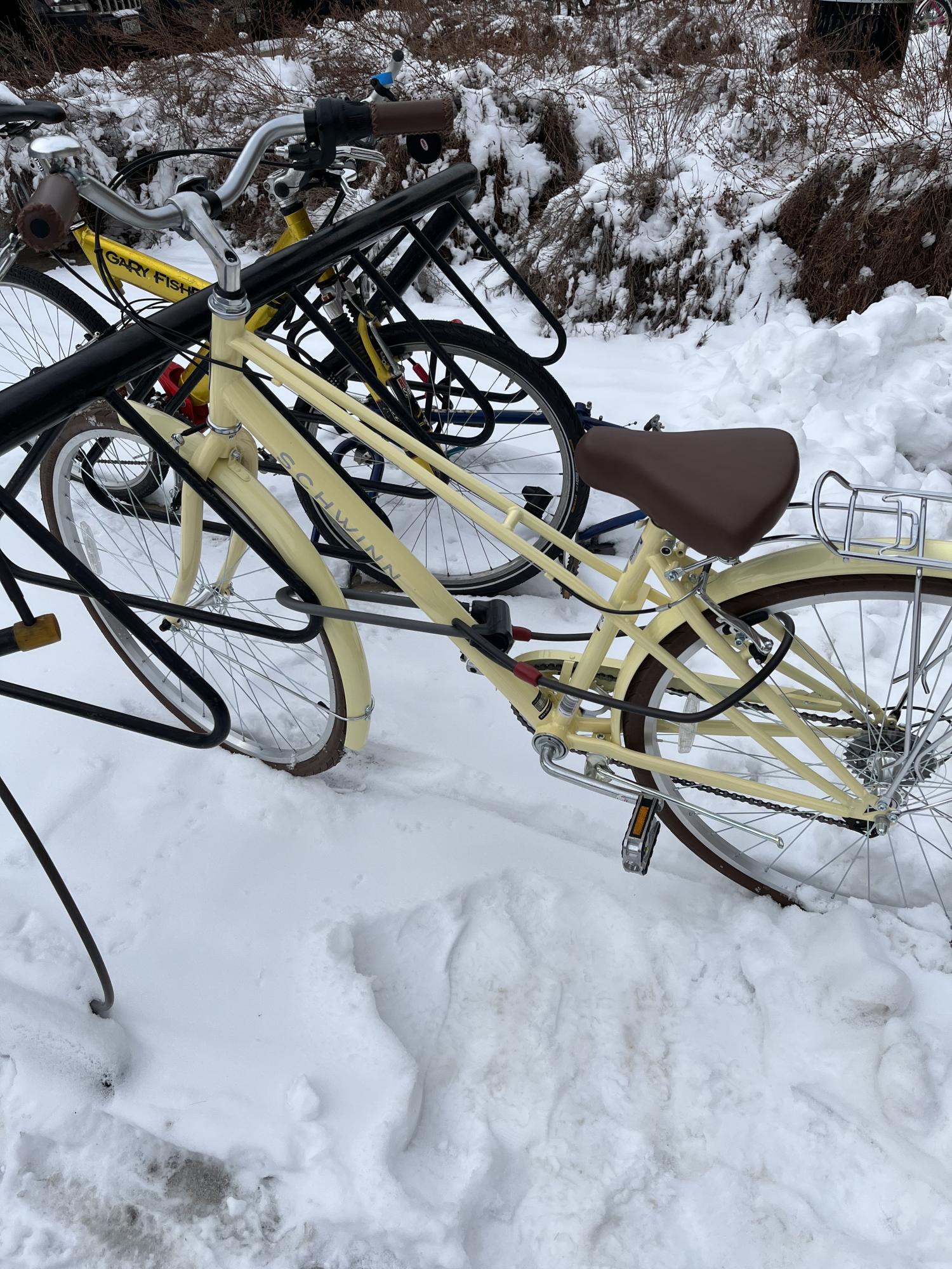 2023 Schwinn Admiral Yellow or Gold