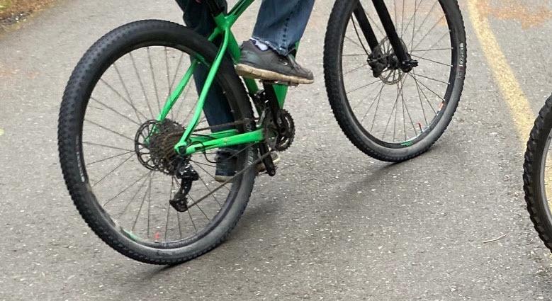 2019 Trek Green
