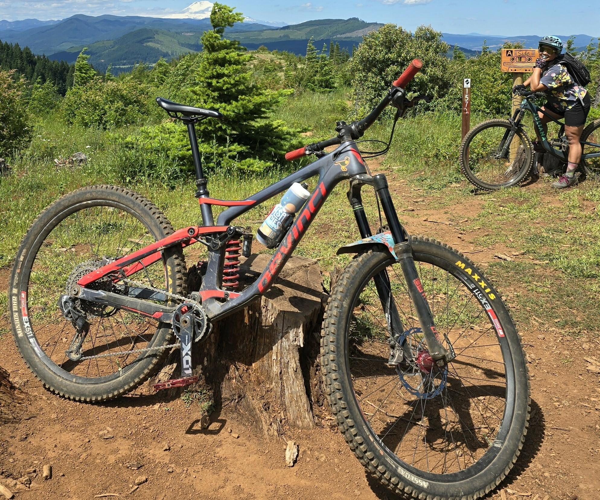 2019 Devinci Spartan Silver, gray or bare metal and Red