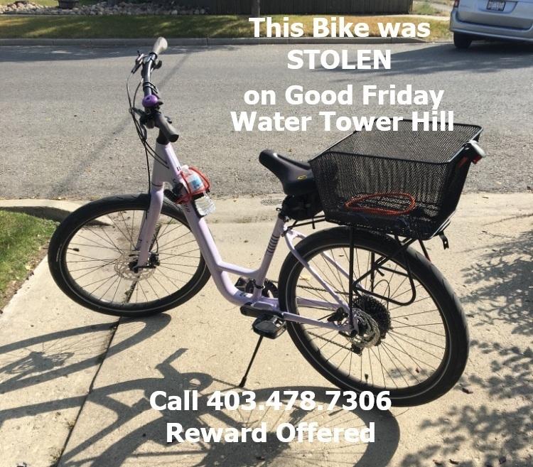 2020 Specialized roll sport White