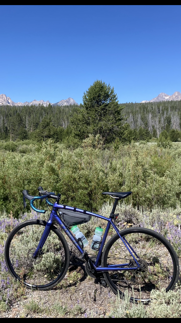2020 Trek Emonda ALR 5 Purple