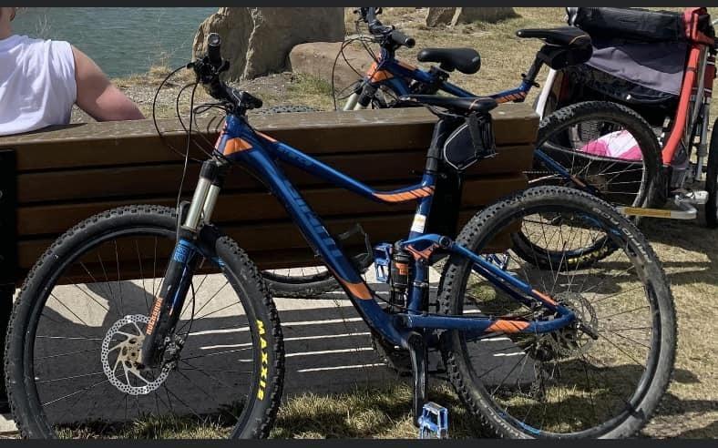 2018 Giant Stance Blue and Orange