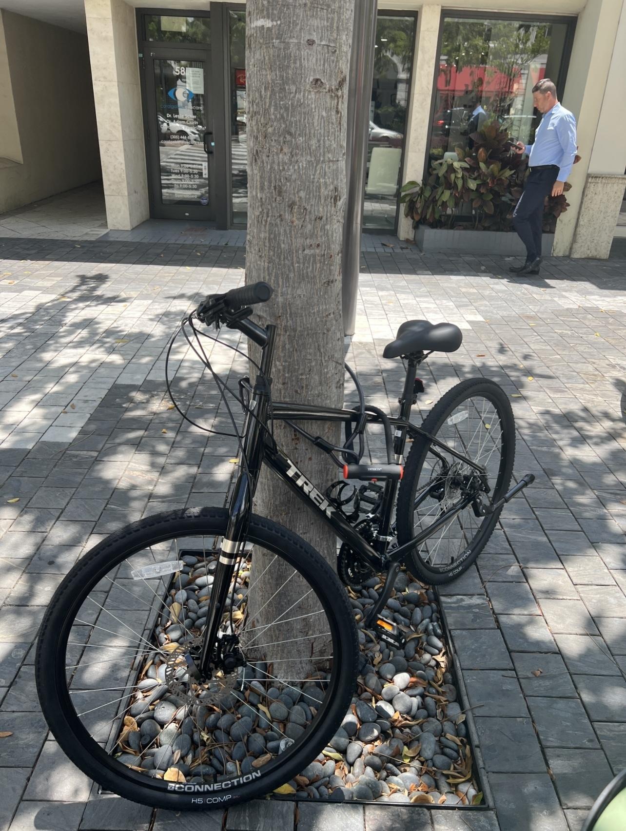 2022 Trek Verve 1 Black