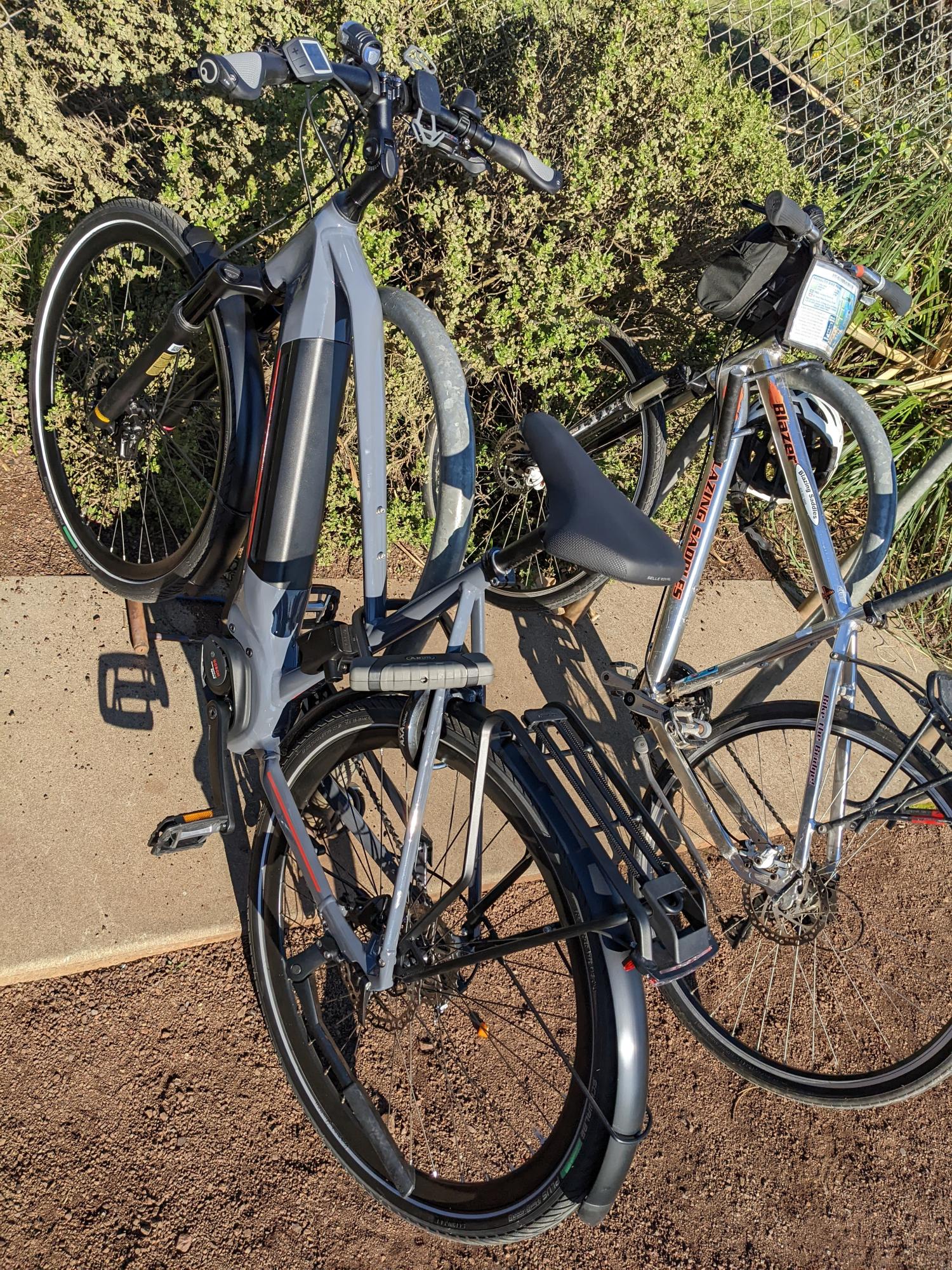 2022 Gazelle Silver, gray or bare metal