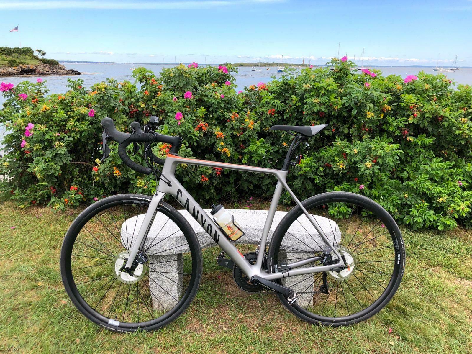 2018 Canyon bicycles EDR CF SL DB 8.0 18 L gy/og Silver, gray or bare metal and Orange