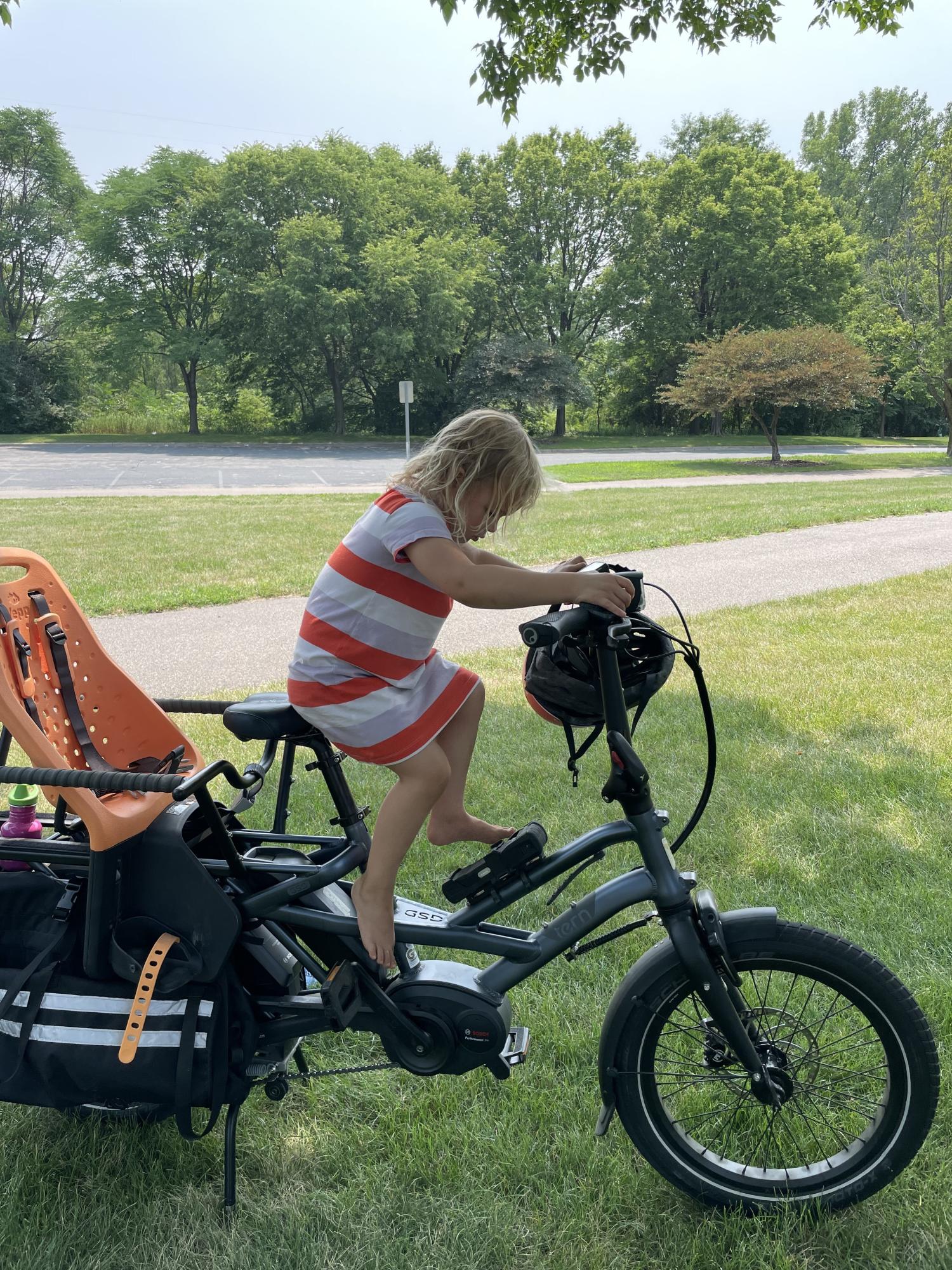 2019 Tern Gsd Silver, gray or bare metal