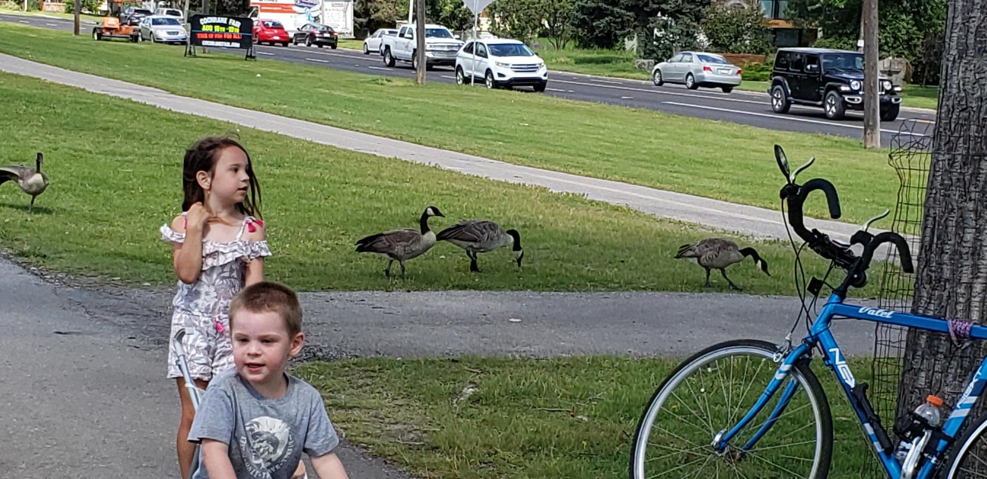 2006 Wal Mart Next Blue