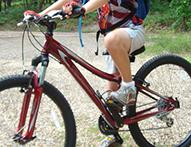 2009 Specialized Myka  Black