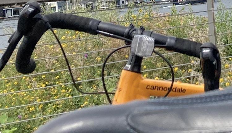 2023 Cannondale CDALE TOPSTONE 4 - 23 Yellow or Gold