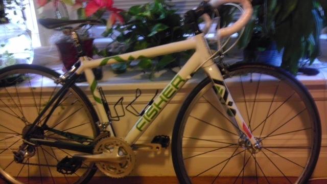 2010 Gary Fisher Ion Pro GS  White