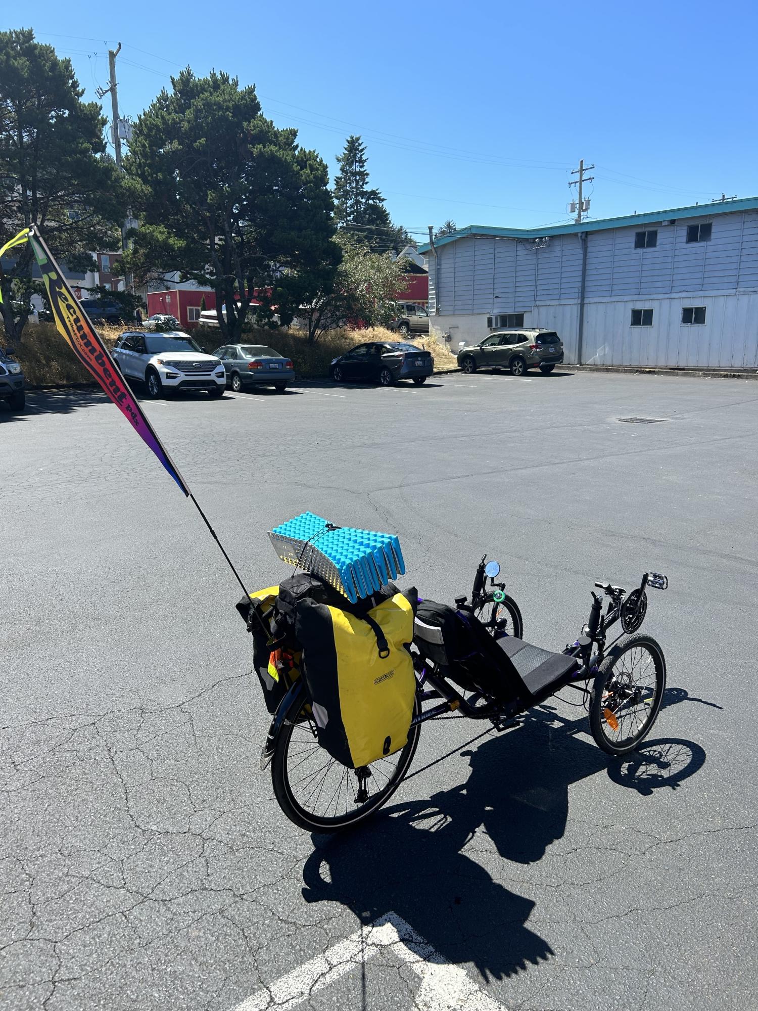 2023 Catrike 559 recumbent Purple