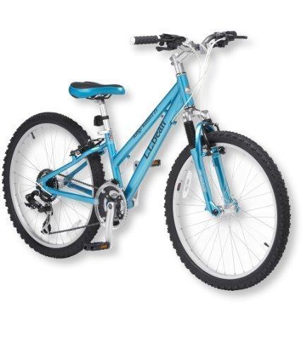2008 Schwinn Cruiser 3 Women S Blue and Silver or Gray