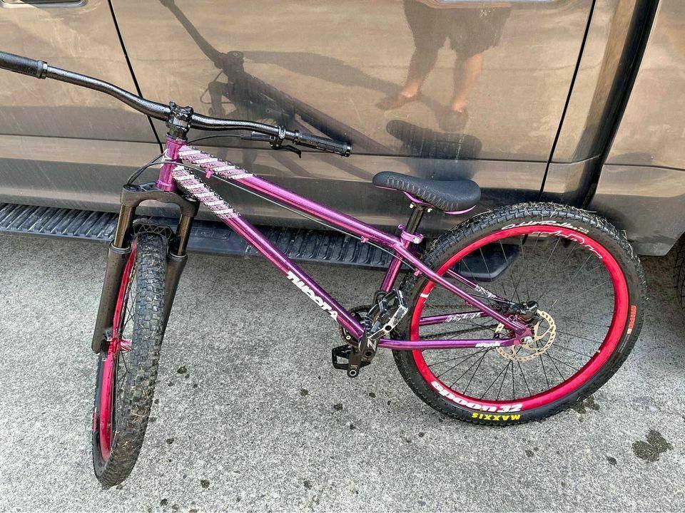 2024 Spank Tweet Pink