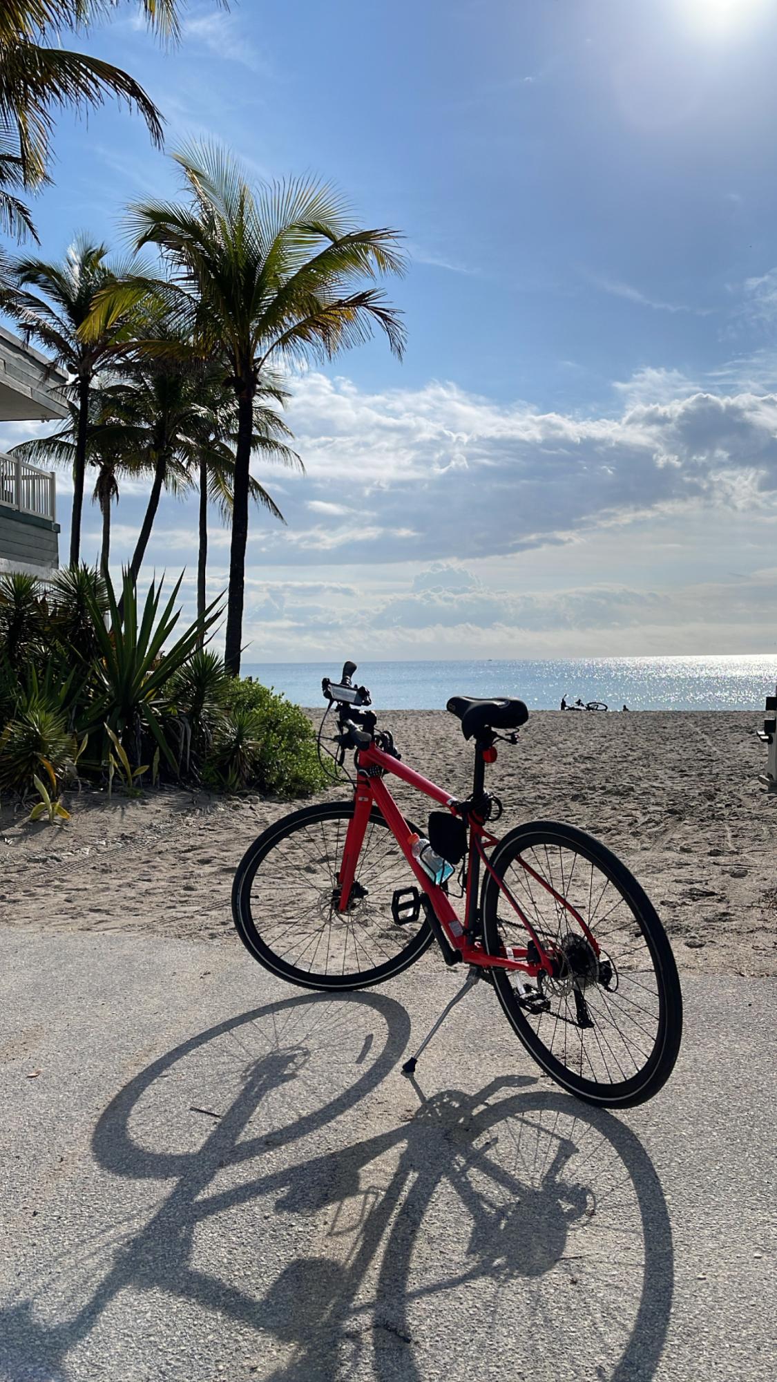 2021 Cannondale Quick 3 Red