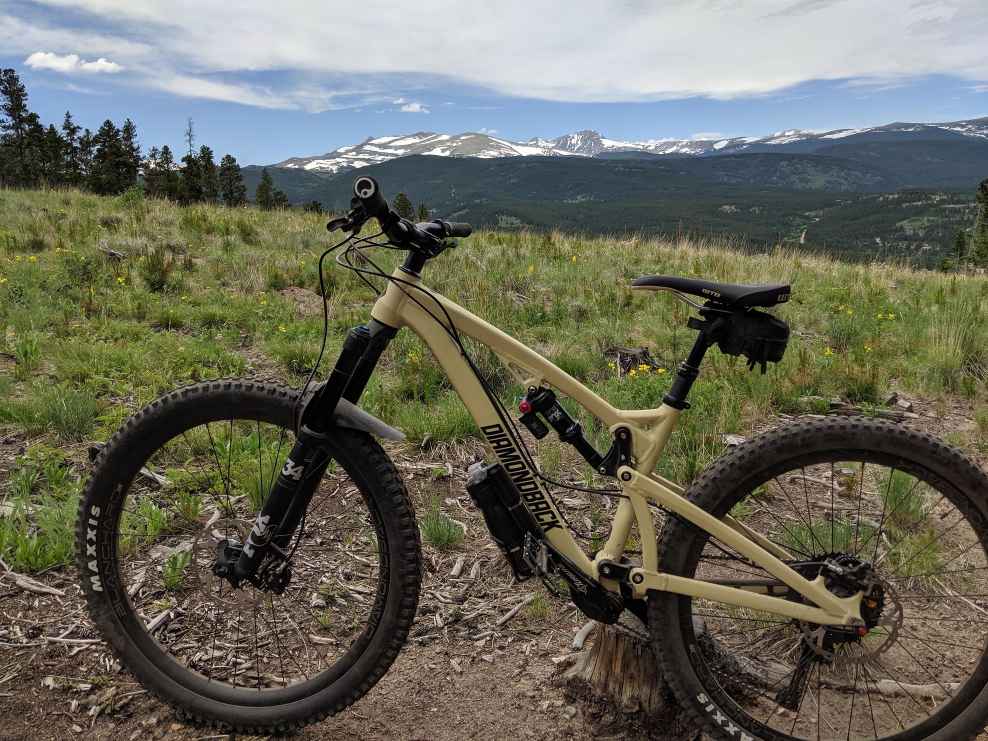 2020 Diamondback Realease 3 Brown and Black