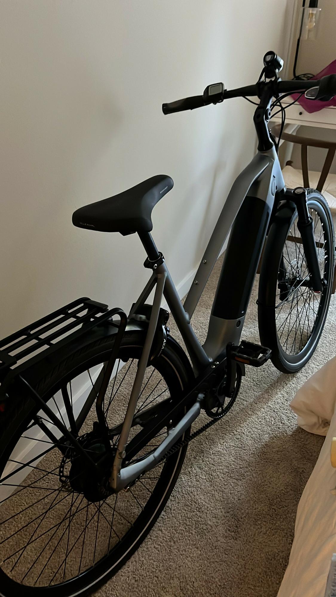 2022 Gazelle Ultimate CM38 Silver, gray or bare metal