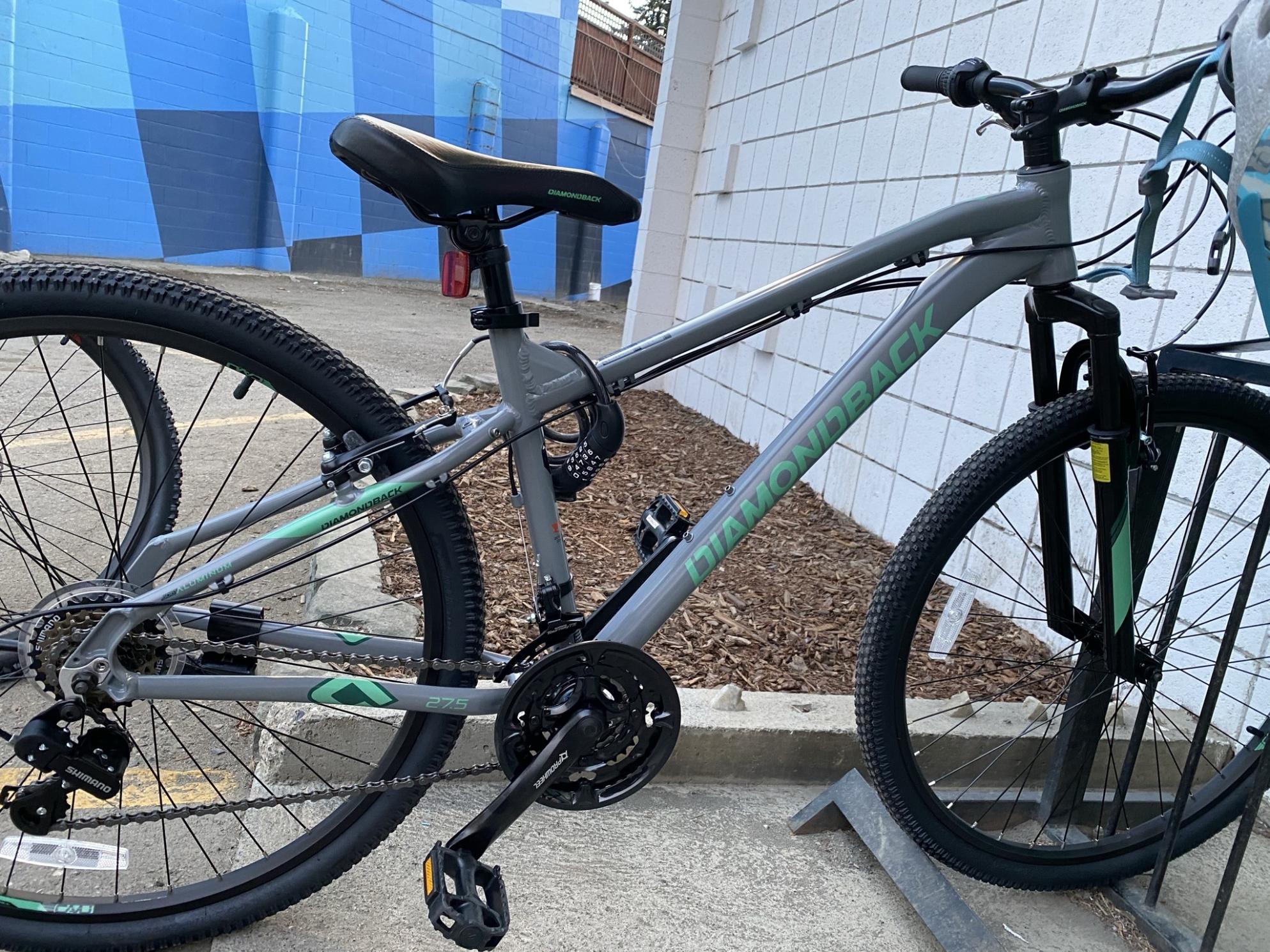 Diamondback MoonTracker Silver, gray or bare metal