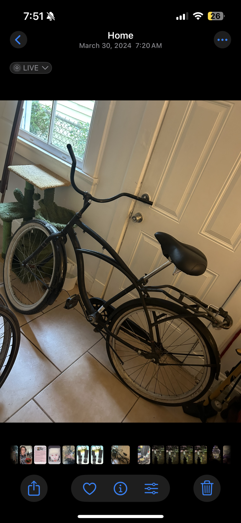 Other Cruiser Black