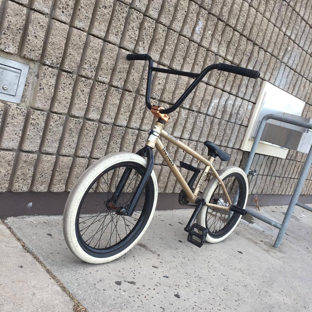 Premium Inspired Yellow or Gold